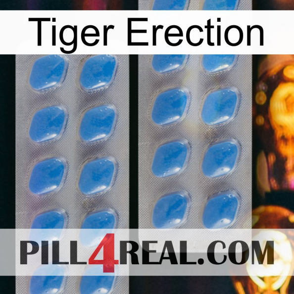 Tiger Erection 23.jpg